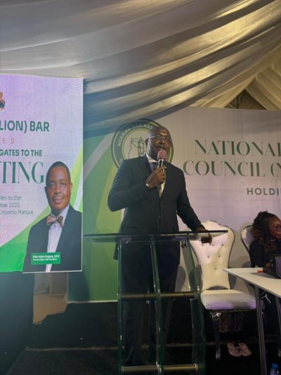 NBA AGC 2025: Chief Emeka Obegolu SAN Delivers Historic ₦1 Billion+ Surplus