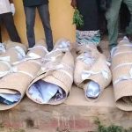 Reps Order Probe Into Alleged Killing of Women, Teenager by Soldiers in Adamawa