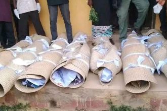 Reps Order Probe Into Alleged Killing of Women, Teenager by Soldiers in Adamawa