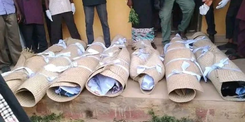 Reps Order Probe Into Alleged Killing of Women, Teenager by Soldiers in Adamawa