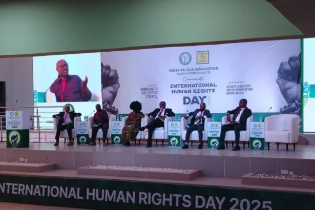 Falana, NBA Call for Urgent Security and Protection of Human Rights in Northern Nigeria