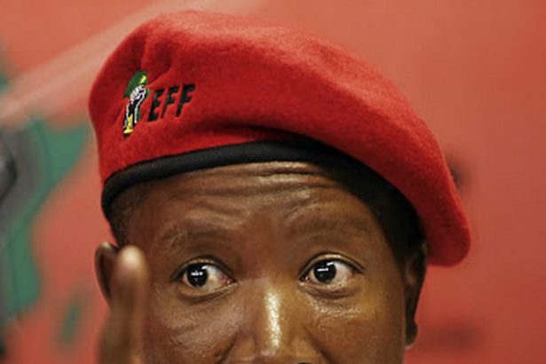 Malema