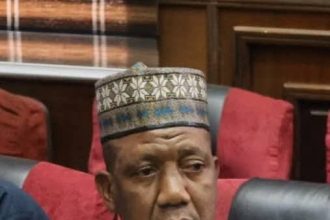 Bauchi State Commissioner for Finance, Yakubu Adamu