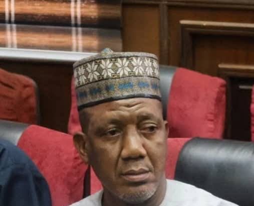 Bauchi State Commissioner for Finance, Yakubu Adamu