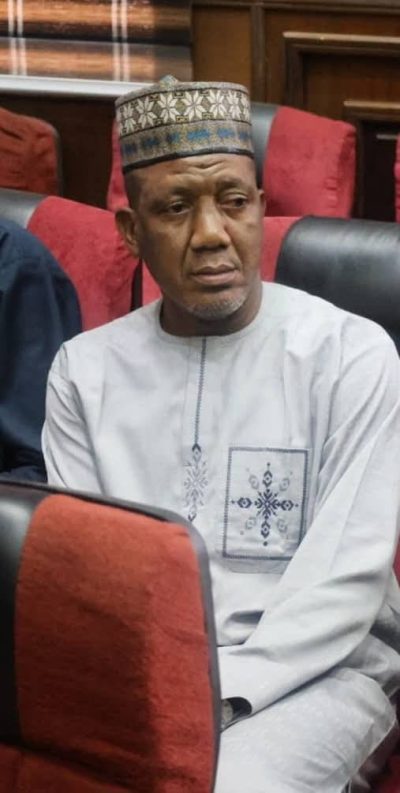 Bauchi State Commissioner for Finance, Yakubu Adamu