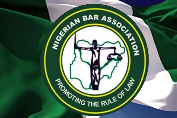 ZONING IS BINDING, ADOPTION IS NOT: A RESPONSE TO BAYO AKINLADE, ESQ.