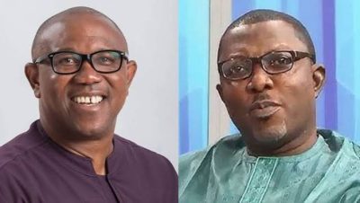 LP Chieftain Sues for Peter Obi’s Academic Records