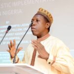 Prof. Ladan Calls for Faster Treaty Domestication,